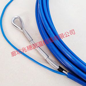 鋼板倉專用測(cè)溫電纜