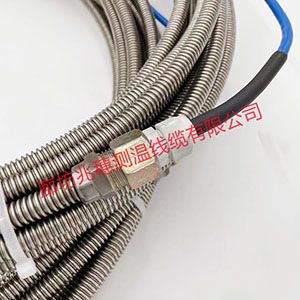 油罐測(cè)溫電纜