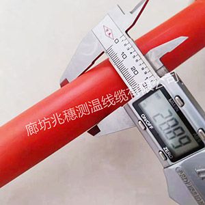 河北煤筒倉(cāng)測(cè)溫電纜