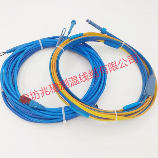 實(shí)用測(cè)溫電纜