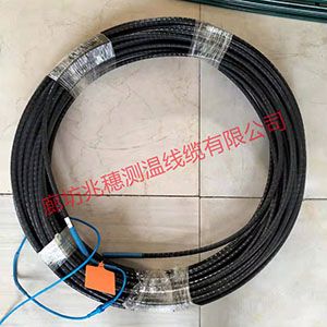 直銷地源熱泵測溫電纜