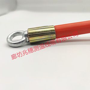 銷售立筒倉(cāng)測(cè)溫電纜