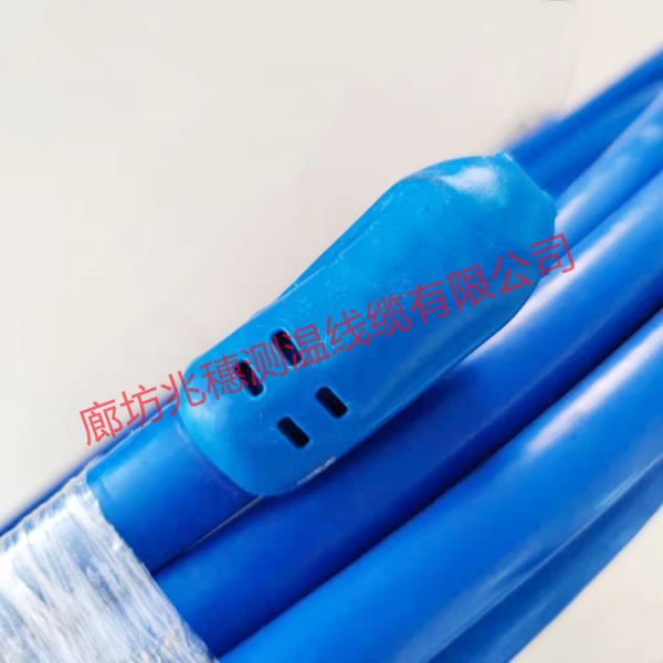 雙鋼絲測(cè)溫電纜