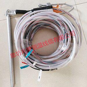 銷售防水測溫電纜